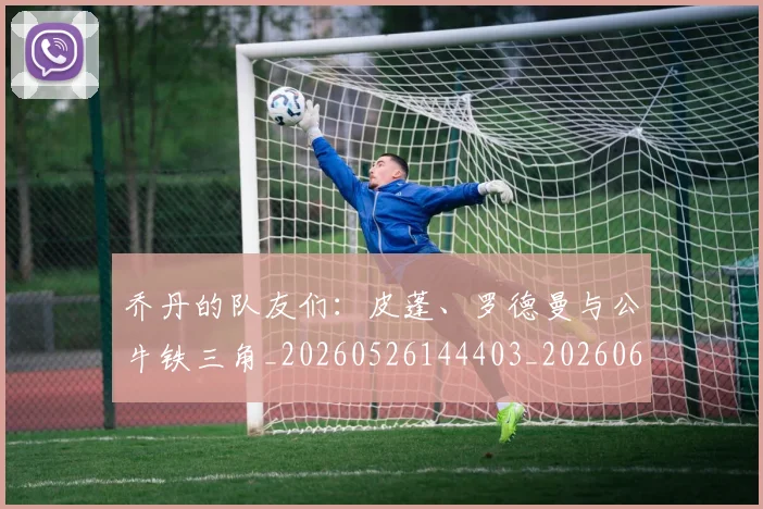 乔丹的队友们:皮蓬、罗德曼与公牛铁三角_20260526144403_20260608142426